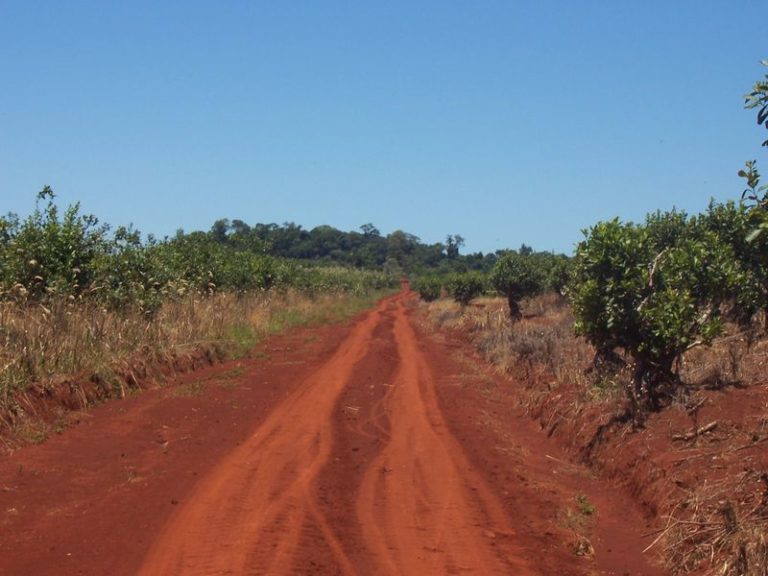 ブラジル高原