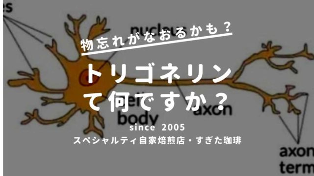 トリゴネリン