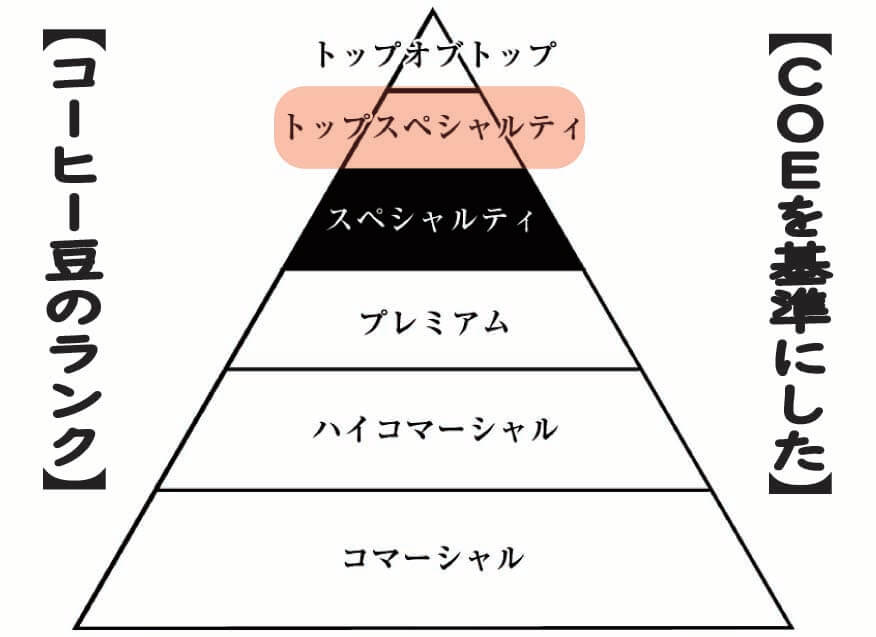 トップスペシャルティ珈琲とは